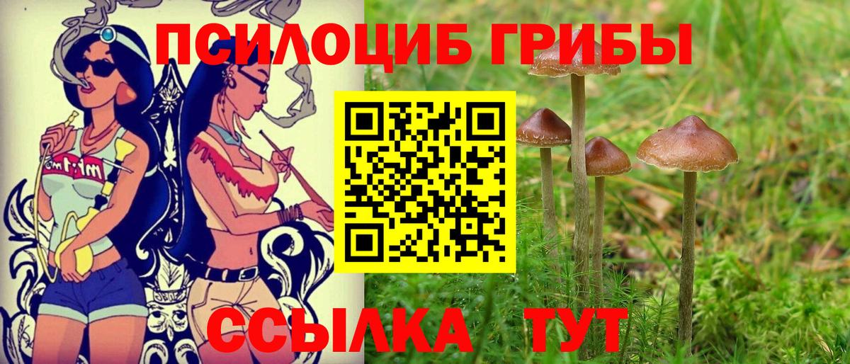 Псилоцибиновые грибы ЛСД  Вход с VPN  Реутов 